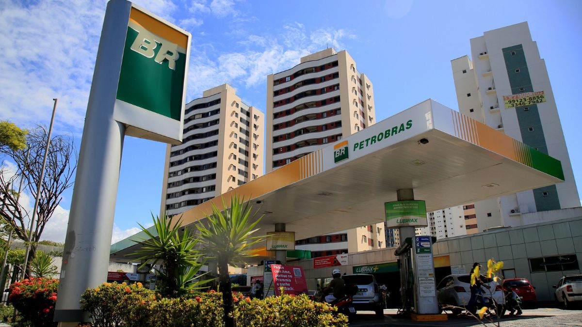 Análise de investimentos em ações da Petrobras e recomendações para 2025.